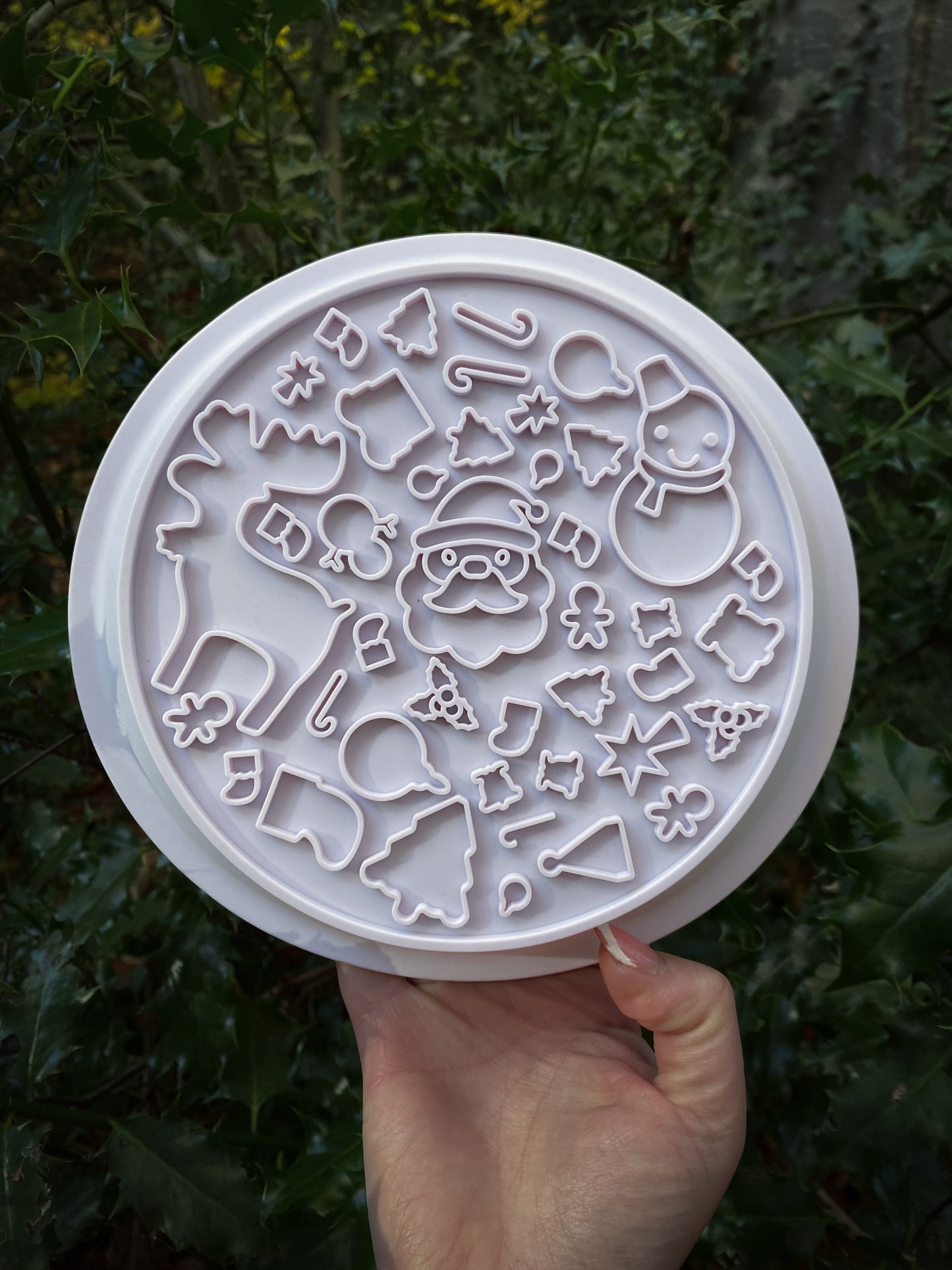 Festive Enrichment Bowl