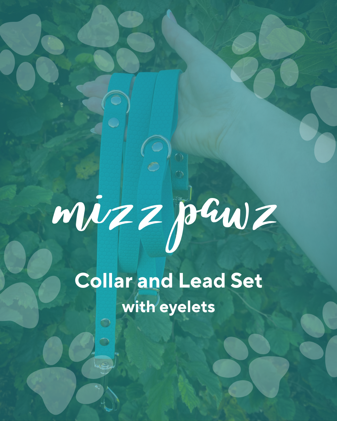 Mizz Pawz Collar and Lead Set