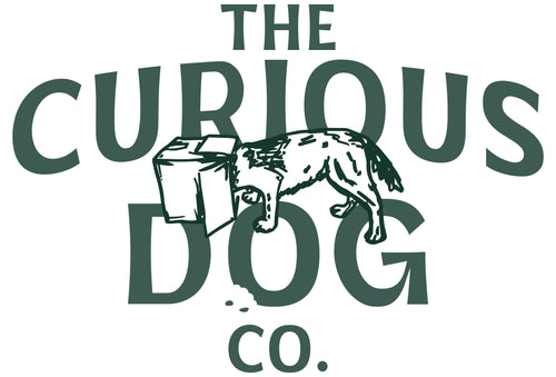 Dogs Boutique