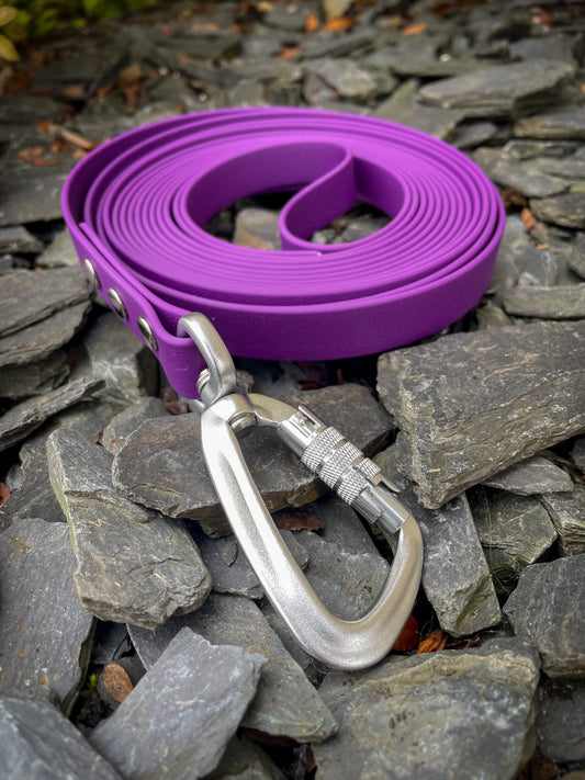 Carabiner Clip image 0